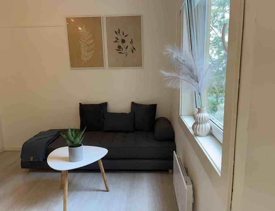 Sentral Leilighet I Gamle Oslo Apartment Luaran gambar