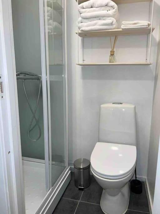 Sentral Leilighet I Gamle Oslo Apartment Luaran gambar